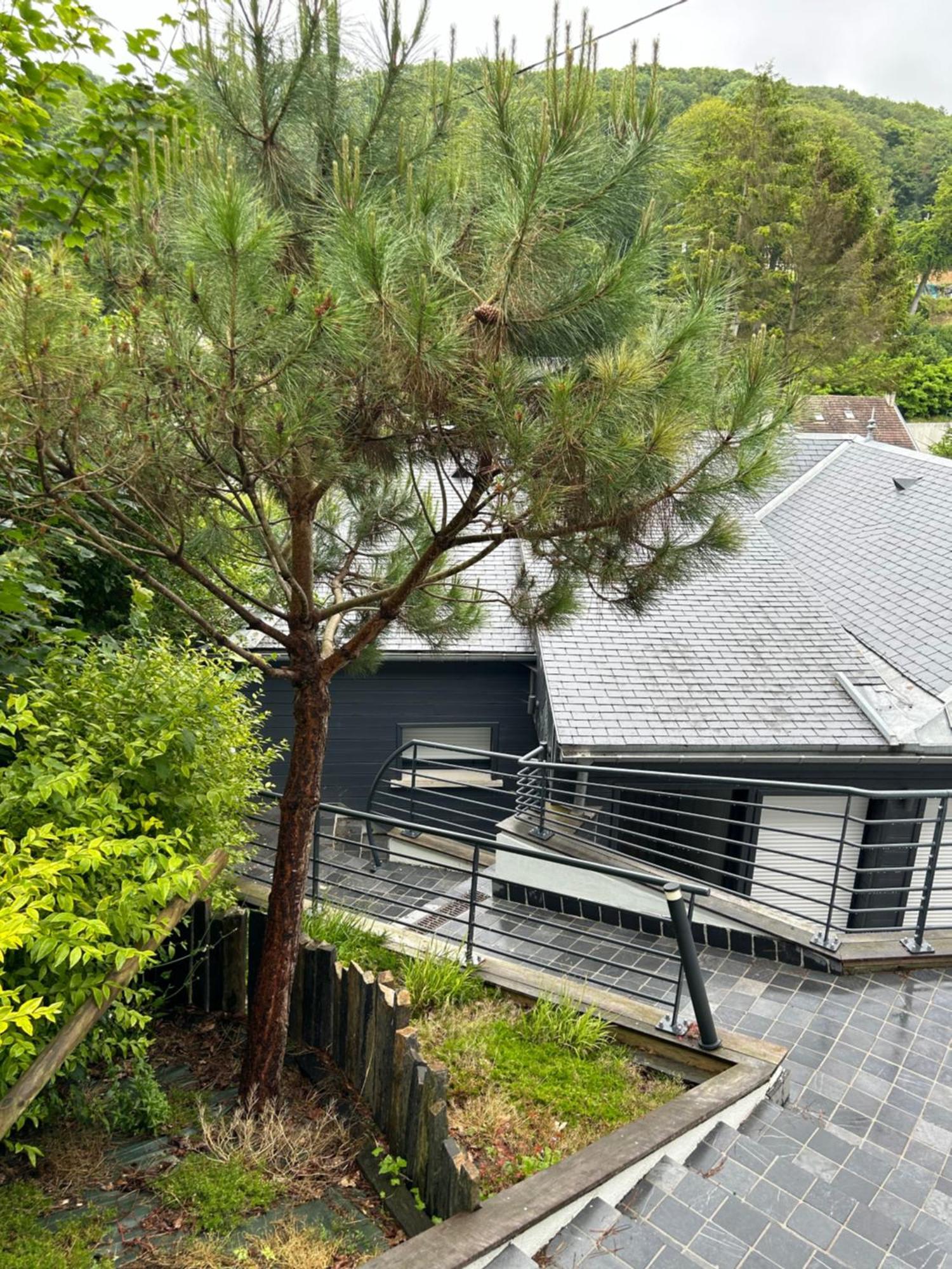 Villa des Chardons Yport Exterior foto